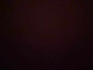 Livecam Vorschaubild von adamslayn