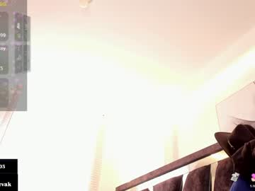 Livecam Vorschaubild von ander_bisex
