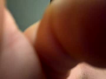 Livecam Vorschaubild von animalranger