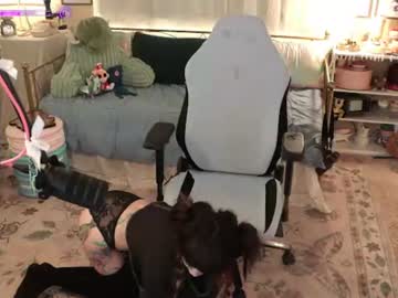 Livecam Vorschaubild von archancel