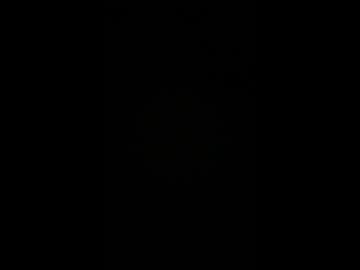 Livecam Vorschaubild von cattoey