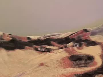 Livecam Vorschaubild von dizzyfaced