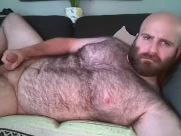 Livecam Vorschaubild von hairiestbear