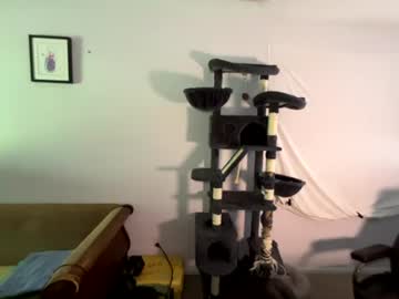 Livecam Vorschaubild von hiswayalways