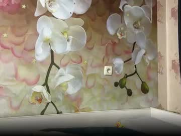 Livecam Vorschaubild von jeremybeute