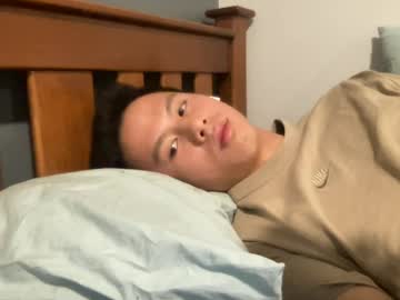 Livecam Vorschaubild von limlimdimsim