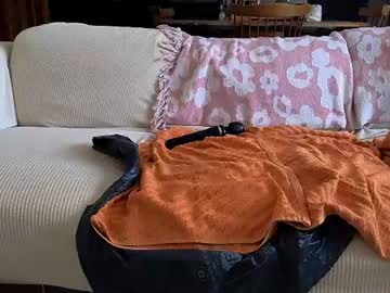 Livecam Vorschaubild von luxymin