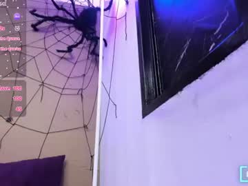 Livecam Vorschaubild von skylagp