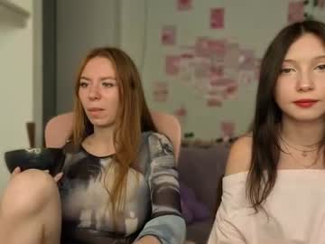 Livecam Vorschaubild von viellee